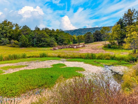 Tiny photo for 4885 Highway 131, Washburn, TN 37888 (MLS # 1355367)