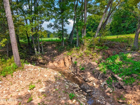 Tiny photo for 4885 Highway 131, Washburn, TN 37888 (MLS # 1355367)