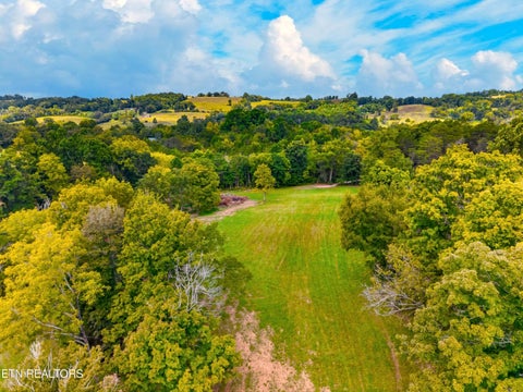 Tiny photo for 4885 Highway 131, Washburn, TN 37888 (MLS # 1355367)