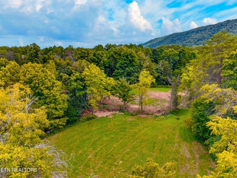 Tiny photo for 4885 Highway 131, Washburn, TN 37888 (MLS # 1355367)