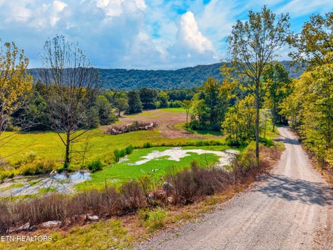 Tiny photo for 4885 Highway 131, Washburn, TN 37888 (MLS # 1355367)