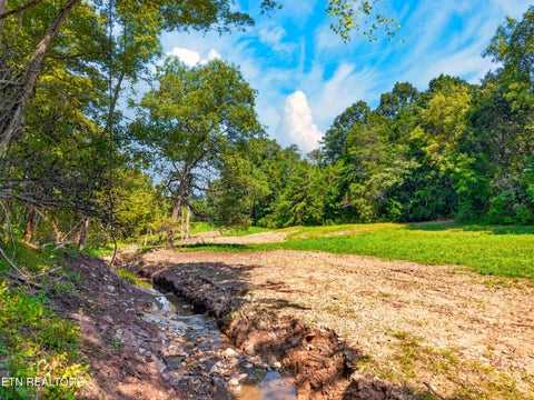 Tiny photo for 4885 Highway 131, Washburn, TN 37888 (MLS # 1355367)