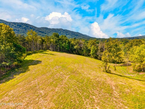 Tiny photo for 4885 Highway 131, Washburn, TN 37888 (MLS # 1355367)