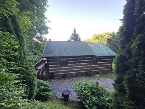 Tiny photo for 994 Emilyville Way, Cosby, TN 37722 (MLS # 1350000)