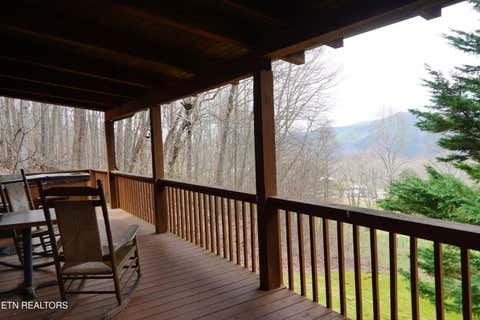 Tiny photo for 994 Emilyville Way, Cosby, TN 37722 (MLS # 1350000)