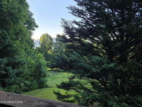Tiny photo for 994 Emilyville Way, Cosby, TN 37722 (MLS # 1350000)
