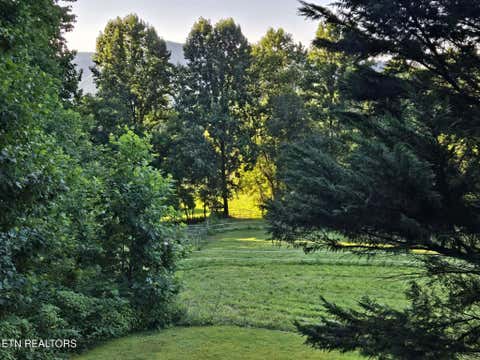 Tiny photo for 994 Emilyville Way, Cosby, TN 37722 (MLS # 1350000)