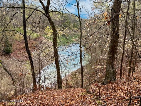 Tiny photo for 0 David Swann Drive, Dandridge, TN 37725 (MLS # 1323758)