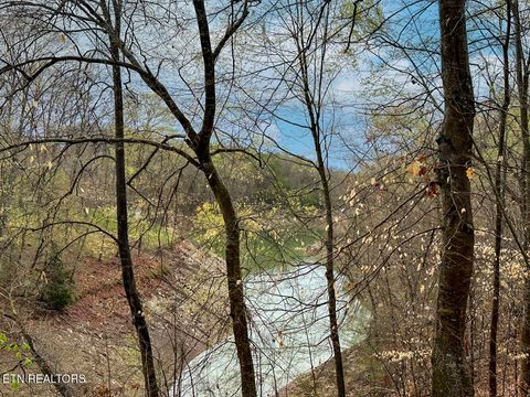 Tiny photo for 0 David Swann Drive, Dandridge, TN 37725 (MLS # 1323758)