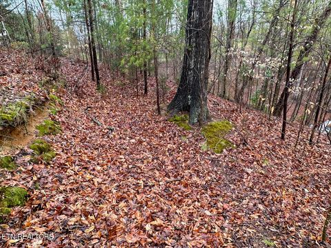Tiny photo for 0 David Swann Drive, Dandridge, TN 37725 (MLS # 1323758)