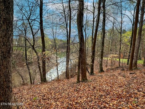 Tiny photo for 0 David Swann Drive, Dandridge, TN 37725 (MLS # 1323758)