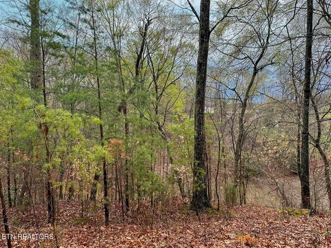 Tiny photo for 0 David Swann Drive, Dandridge, TN 37725 (MLS # 1323758)