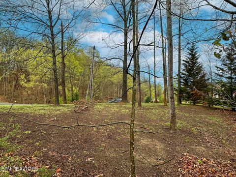 Tiny photo for 0 David Swann Drive, Dandridge, TN 37725 (MLS # 1323758)