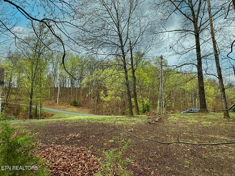Tiny photo for 0 David Swann Drive, Dandridge, TN 37725 (MLS # 1323758)