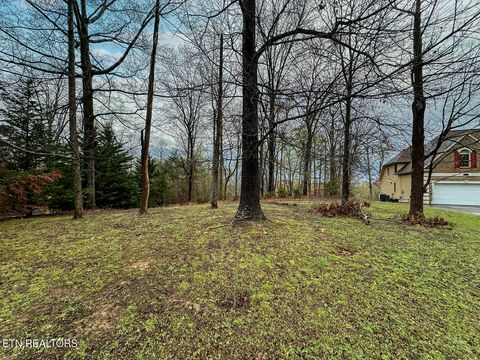 Tiny photo for 0 David Swann Drive, Dandridge, TN 37725 (MLS # 1323758)