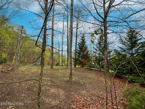 Tiny photo for 0 David Swann Drive, Dandridge, TN 37725 (MLS # 1323758)