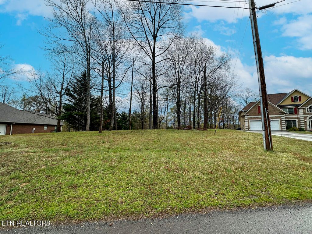 Photo of 0 David Swann Drive, Dandridge, TN 37725 (MLS # 1323758)