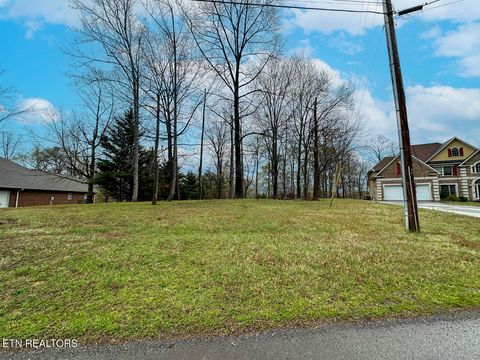 Photo of 0 David Swann Drive, Dandridge, TN 37725 (MLS # 1323758)