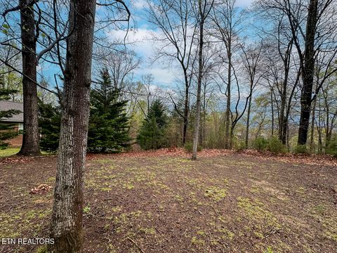 Tiny photo for 0 David Swann Drive, Dandridge, TN 37725 (MLS # 1323758)