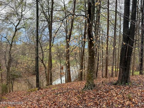 Tiny photo for 0 David Swann Drive, Dandridge, TN 37725 (MLS # 1323758)