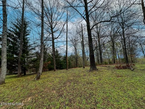 Tiny photo for 0 David Swann Drive, Dandridge, TN 37725 (MLS # 1323758)