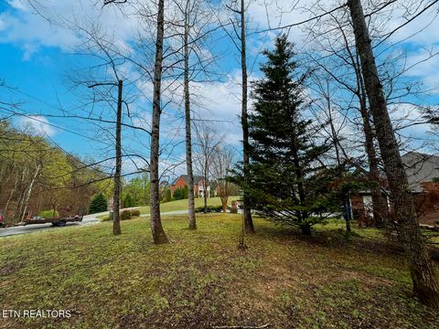 Tiny photo for 0 David Swann Drive, Dandridge, TN 37725 (MLS # 1323758)