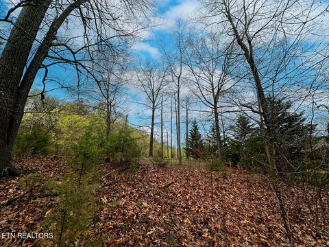 Tiny photo for 0 David Swann Drive, Dandridge, TN 37725 (MLS # 1323758)