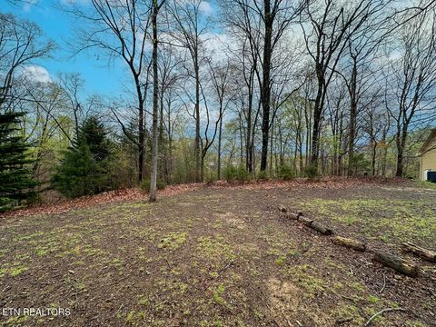 Tiny photo for 0 David Swann Drive, Dandridge, TN 37725 (MLS # 1323758)