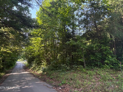 Tiny photo for Shiner Run Way, Newport, TN 37821 (MLS # 1342753)