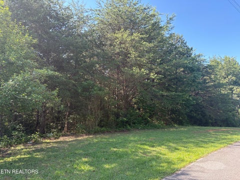 Tiny photo for Shiner Run Way, Newport, TN 37821 (MLS # 1342753)