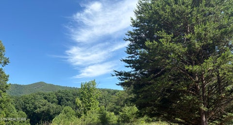Tiny photo for Shiner Run Way, Newport, TN 37821 (MLS # 1342753)