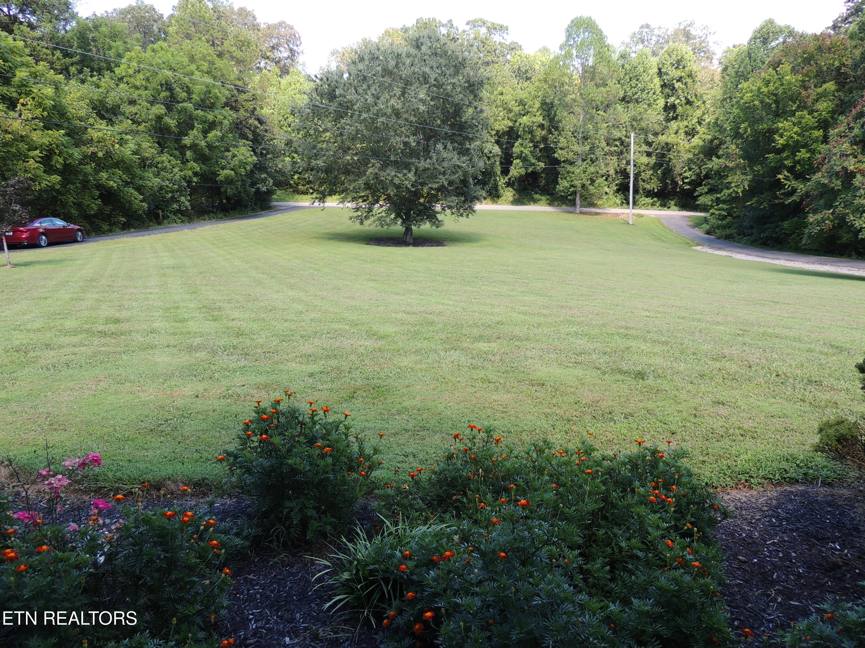 8210 WOOD Rd