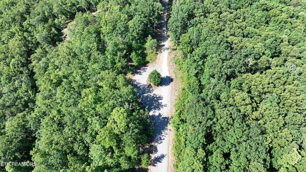 Photo of 0 Coker Creek Trail, Tellico Plains, TN 37385 (MLS # 1343649)