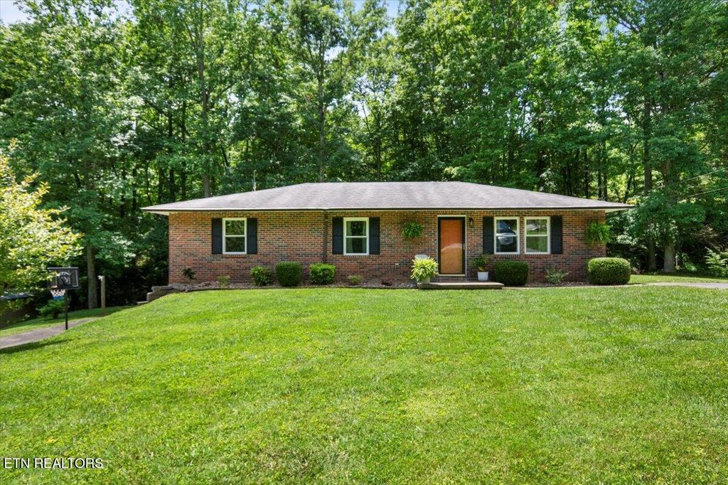 Photo of 382 Tionesta Drive, Jacksboro, TN 37757 (MLS # 1323137)