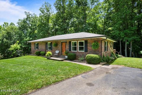 Photo of 382 Tionesta Drive, Jacksboro, TN 37757 (MLS # 1323137)