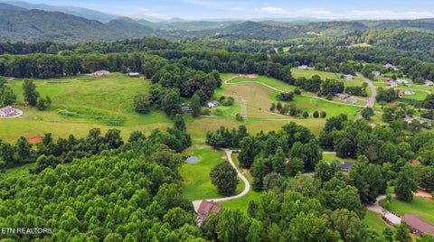 Tiny photo for 555 New Clear Branch Rd, Rocky Top, TN 37769 (MLS # 1348492)