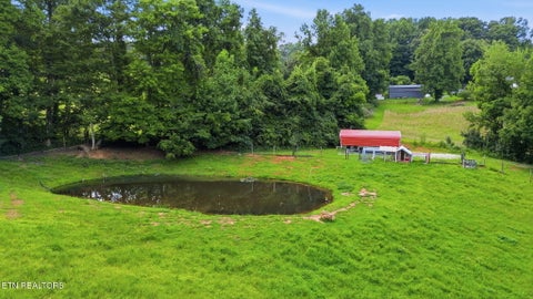 Tiny photo for 555 New Clear Branch Rd, Rocky Top, TN 37769 (MLS # 1348492)