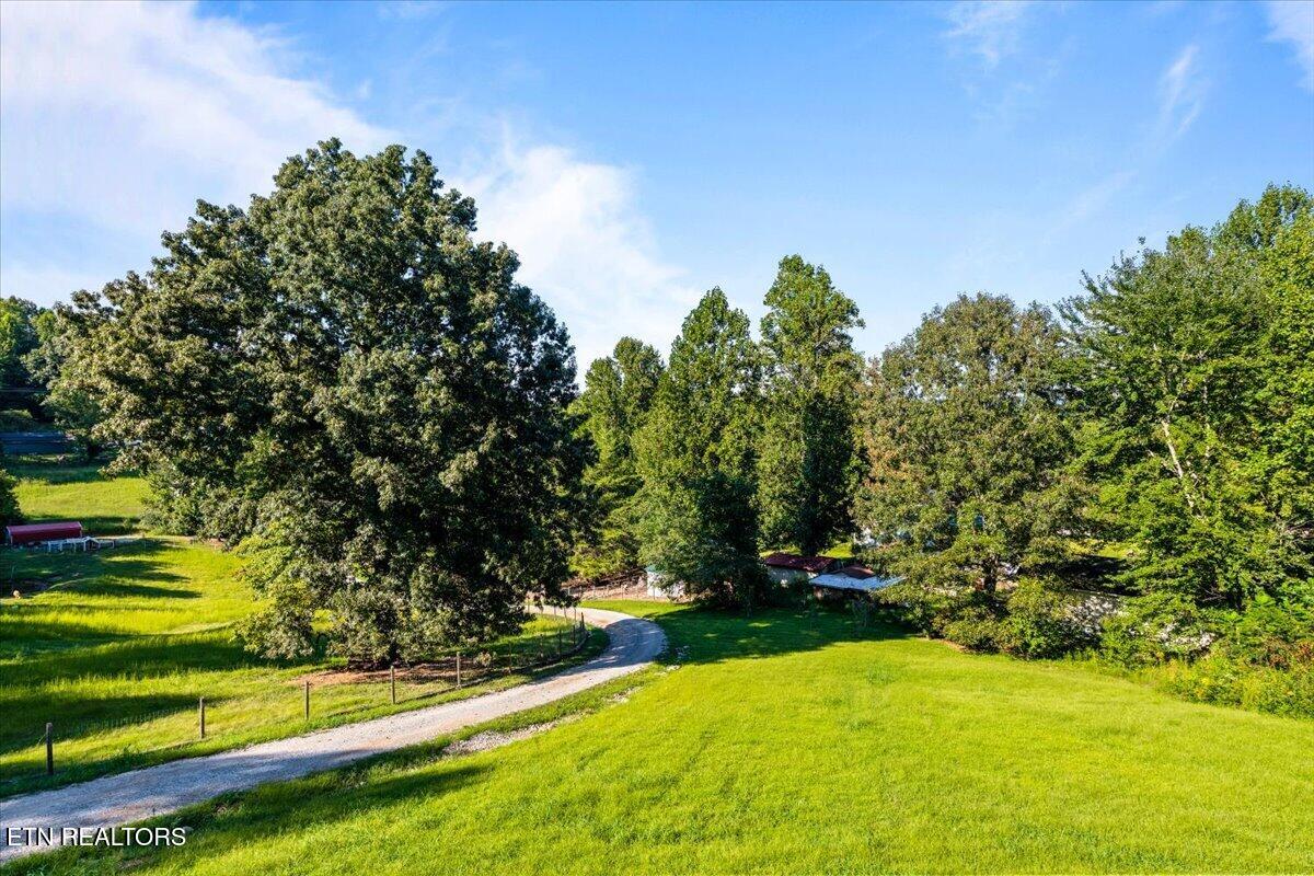 555 New Clear Branch Rd