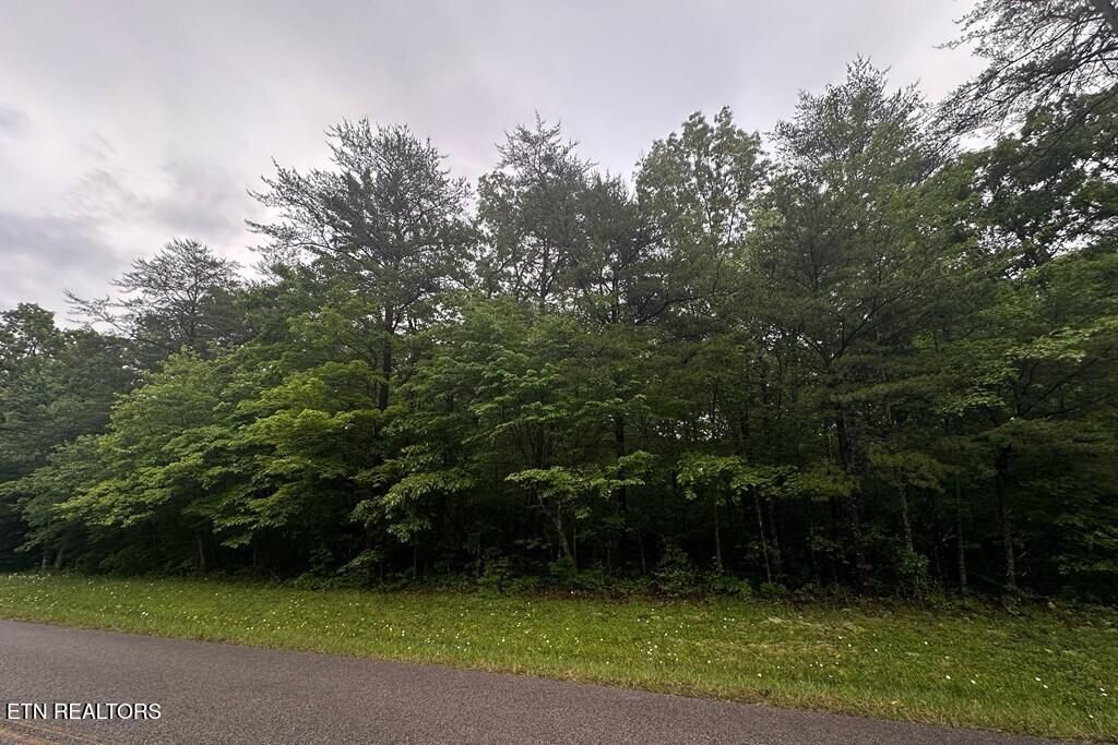 Photo of 0 Cumberland Lakes Drive, Monterey, TN 38574 (MLS # 1342207)