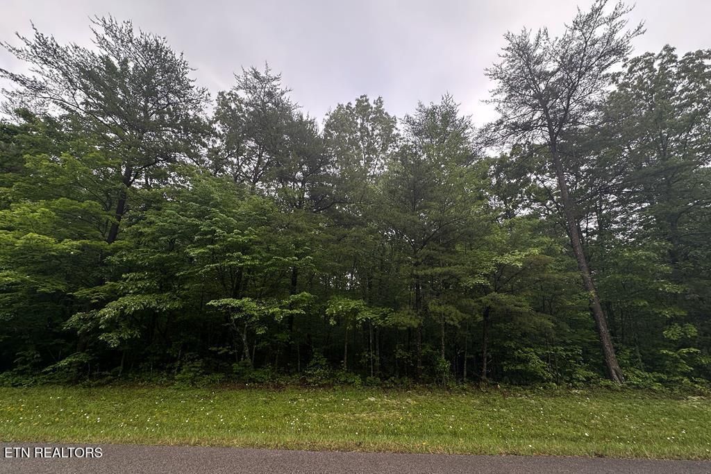 Photo of 0 Cumberland Lakes Drive, Monterey, TN 38574 (MLS # 1342207)