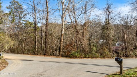 Tiny photo for 0 Conner Heights Rd, Pigeon Forge, TN 37863 (MLS # 1328212)