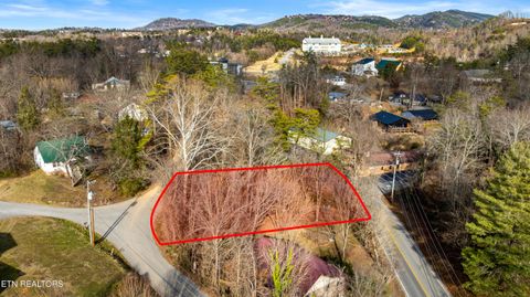 Tiny photo for 0 Conner Heights Rd, Pigeon Forge, TN 37863 (MLS # 1328212)