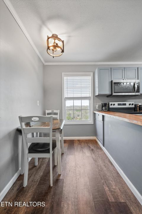 Tiny photo for 1518 Stony Point Rd, Knoxville, TN 37914 (MLS # 1332689)