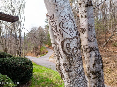 Tiny photo for 4428 Grindstone Ridge Rd, Pigeon Forge, TN 37863 (MLS # 1359976)