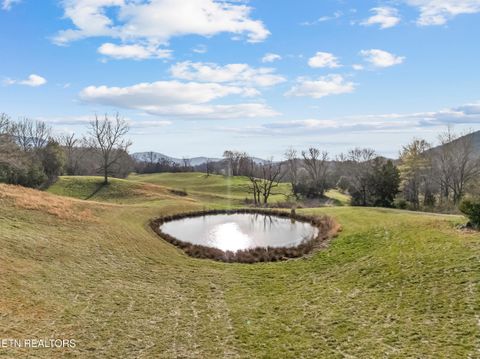 Tiny photo for 518 Old Cedar Creek Rd Rd, Townsend, TN 37882 (MLS # 1337980)