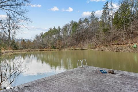 Tiny photo for 518 Old Cedar Creek Rd Rd, Townsend, TN 37882 (MLS # 1337980)