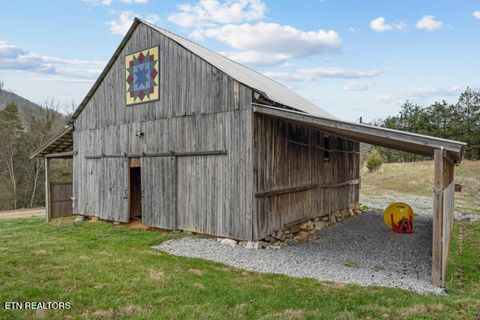 Tiny photo for 518 Old Cedar Creek Rd Rd, Townsend, TN 37882 (MLS # 1337980)