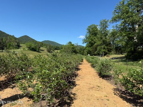 Tiny photo for 518 Old Cedar Creek Rd Rd, Townsend, TN 37882 (MLS # 1337980)