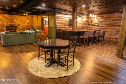 Tiny photo for 518 Old Cedar Creek Rd Rd, Townsend, TN 37882 (MLS # 1337980)
