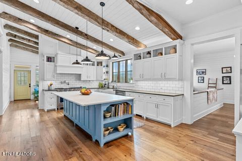Tiny photo for 518 Old Cedar Creek Rd Rd, Townsend, TN 37882 (MLS # 1337980)